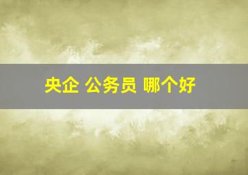 央企 公务员 哪个好